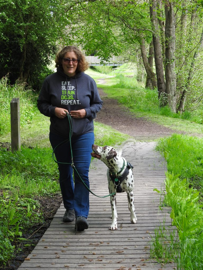 Laura Carter walking Siri the Dalmatian on a loose lead