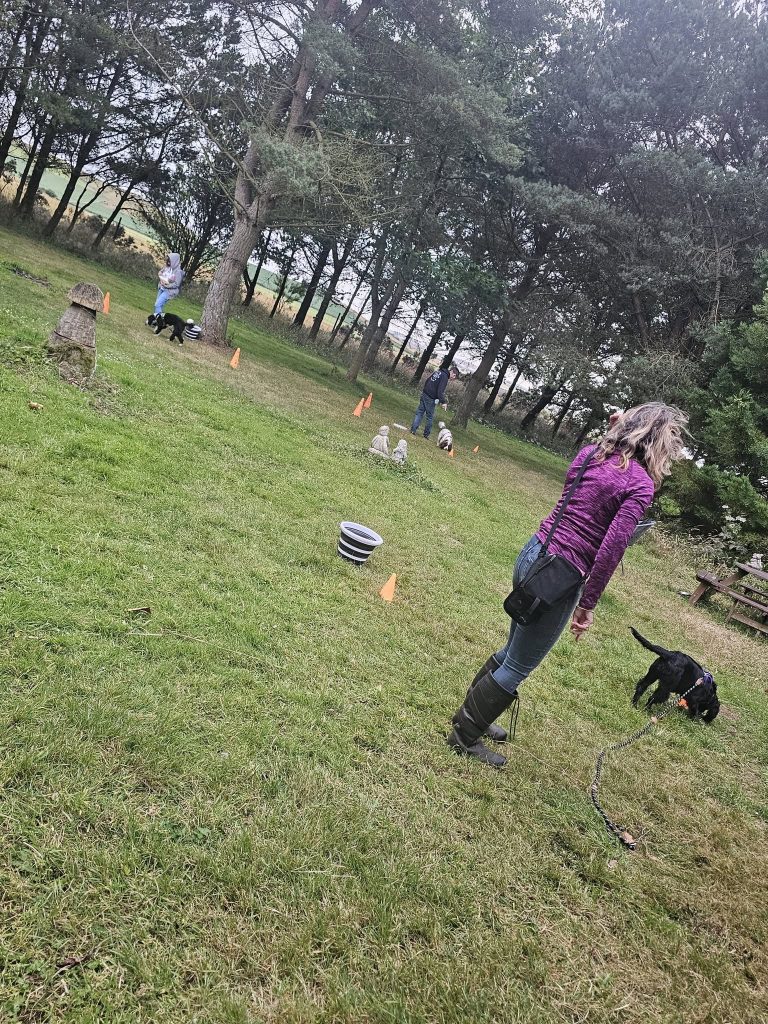 758520334_1512624210882401_4708703195740129342_n